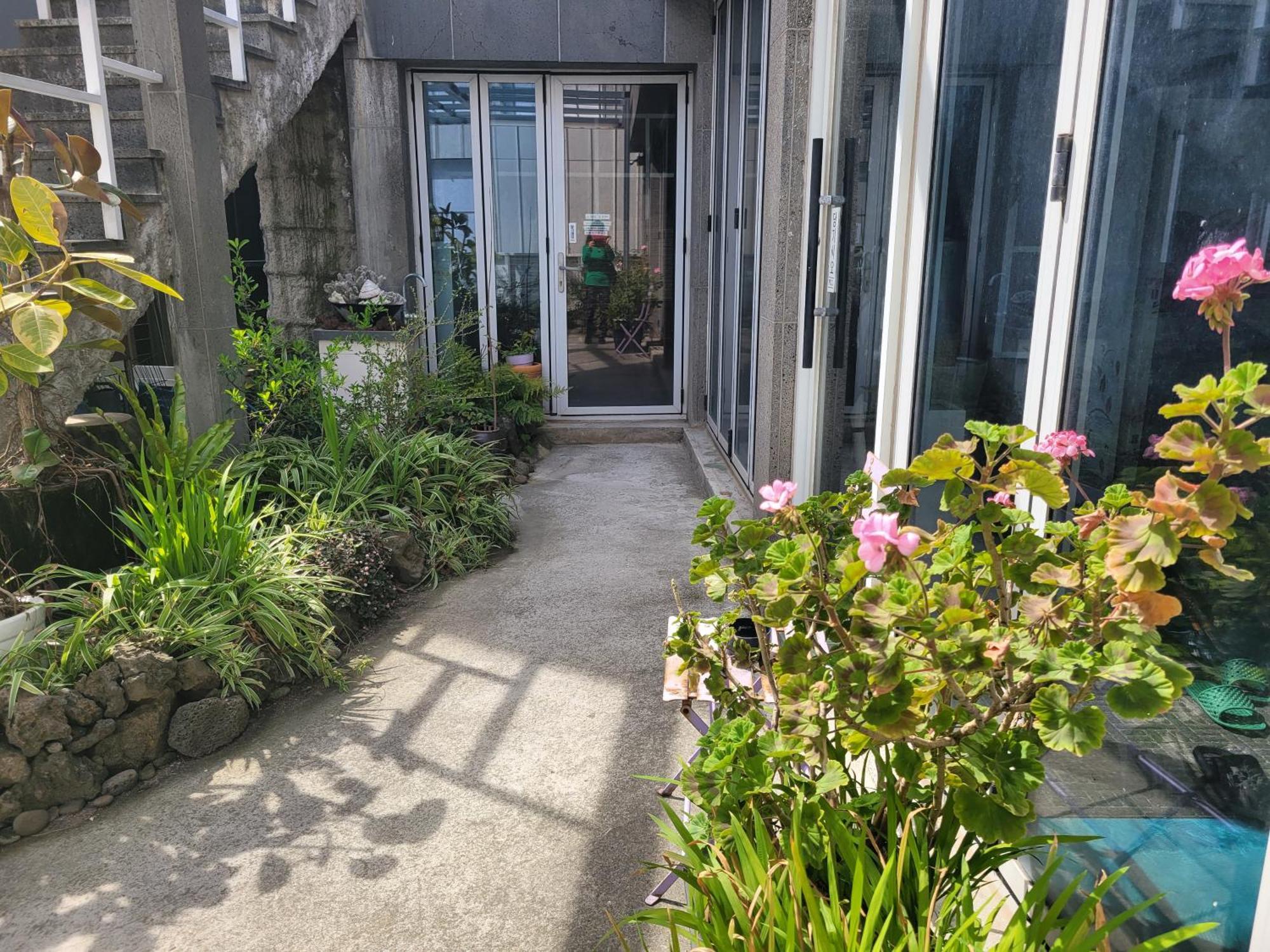 فندق Jeju Vision House المظهر الخارجي الصورة